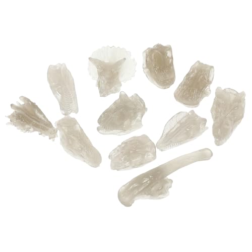 ADOCARN 1 Set Leuchtendes Dinosaurier Spielzeug, Dinosaurier Schädel, Dinosaurier Schädel Spielzeug, PVC Dinosaurier Schädel, Kinder Dinosaurierknochen, Dinosaurier Fossil, Fossilien, von ADOCARN