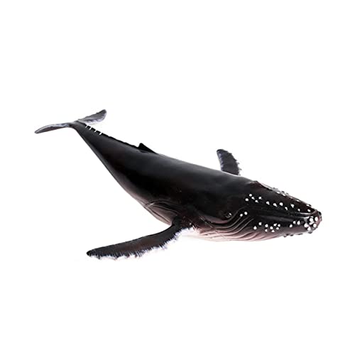 ADOCARN 1 Stück Realistisches Buckelwal Modell Dekorative Tierfigur aus Hochwertigem Kunststoff für Zuhause Büro Kreatives Deko Element für Aquarien und Sammlungen von ADOCARN