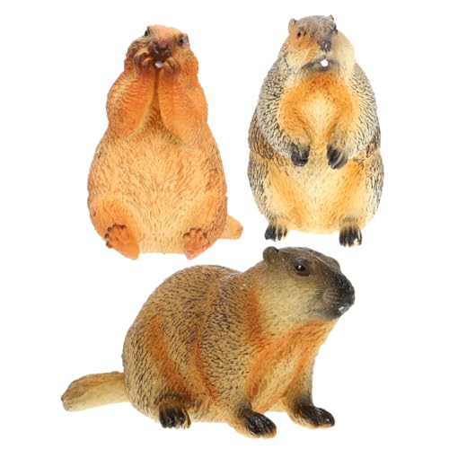 ADOCARN 3stücke Teiliges Murmeltier Modell Realistische Simulation Tierfiguren Für Tischdekoration Bildungs-Spielzeug Und Heimdekoration Für Tierliebhaber von ADOCARN