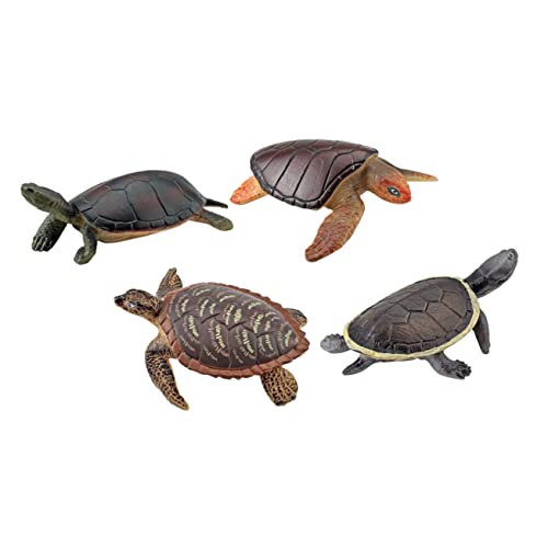 ADOCARN Pädagogisches Schildkrötenspielzeug Aus Kunststoff Realistisches Spielzeug Für Jungen Und Mädchen von ADOCARN