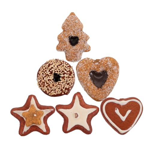 ADOCARN 6 Stück Kekse Keksdekoration Fake Cookie Verzierung Realistische Dessert Requisite Realistisches Essen Faux Food Realistische Fake Food Party Food Requisiten Künstliche von ADOCARN