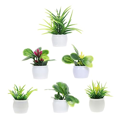 ADOCARN Mini Bonsai Für Puppenhaus 6 Stücke Miniatur Anlage Modellierung Figurine Glatte von ADOCARN