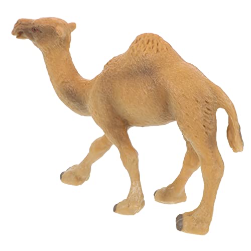 ADOCARN Echte Kamel Skulptur Realistische Kamel Figurine für Schulprojekte Natürliche Dekoration für Zuhause oder Garten von ADOCARN