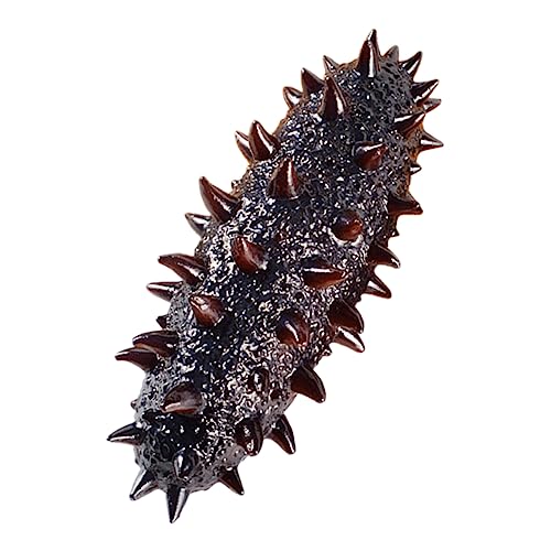 ADOCARN Lebensechtes Sea Cucumber Modell aus Realistisches Meeresfrüchte Dekorationsobjekt für Fotografie Bildung und Ausstellungen Lernspielzeug ADOCARN Lebensechtes Sea Cucumber Modell aus Realistisches Meeresfrüchte Dekorationsobjekt für Fotografie Bildung und Ausstellungen Lernspielzeug von ADOCARN