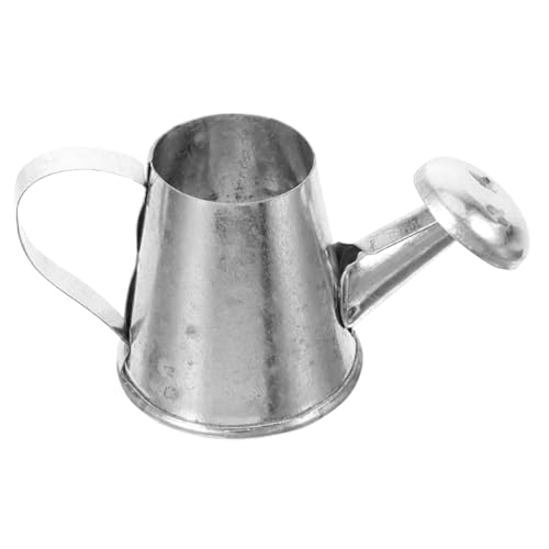 ADOCARN Puppengießflasche, Mini Gießkanne, Puppenhaus Ornament, Realistisches Spielzeug, Miniatur Gartengeräte, Gefälschte Gießkanne, Realistische Simulation, Gießkanne, Puppenhaus ADOCARN Puppengießflasche, Mini Gießkanne, Puppenhaus Ornament, Realistisches Spielzeug, Miniatur Gartengeräte, Gefälschte Gießkanne, Realistische Simulation, Gießkanne, Puppenhaus von ADOCARN