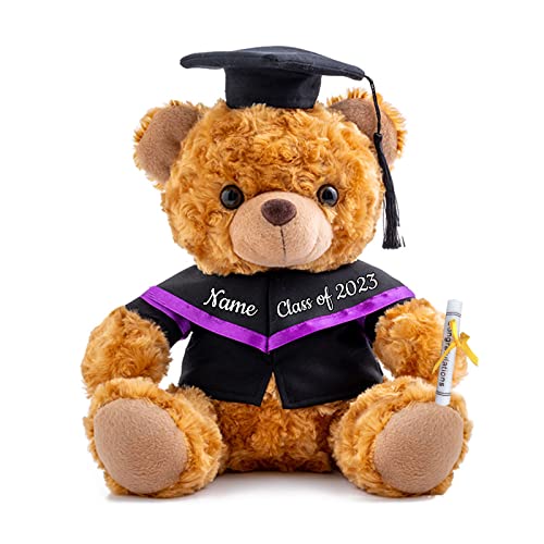 Personalisierter Abschluss-Teddybär, Abschlussgeschenke für Sie & Ihn mit Text, Name oder Datum, Abschlussbär als Personalisiertes Abschlussgeschenk für Mädchen/Jungen zum Abschluss 2024 (20 cm-Text) von ADORSUN