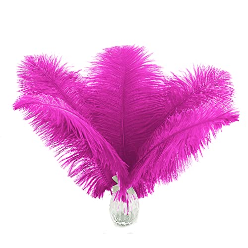 Große Straußenfedern, Fuchsia, 24 Stück, 30,5–35,6 cm, Hot Pink Federn für Party-Mittelstücke, Blumenarrangement und Heimdekoration Große Straußenfedern, Fuchsia, 24 Stück, 30,5–35,6 cm, Hot Pink Federn für Party-Mittelstücke, Blumenarrangement und Heimdekoration von ADSUBHSJFAKK
