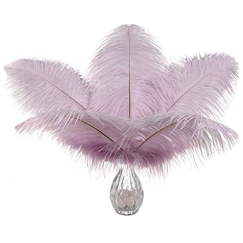 Lavendel-Straußenfedern, Großpackung – 24 Stück, 30,5–35,6 cm, hellviolette Federn für Party-Mittelstücke, Blumenarrangement und Heimdekoration Lavendel-Straußenfedern, Großpackung – 24 Stück, 30,5–35,6 cm, hellviolette Federn für Party-Mittelstücke, Blumenarrangement und Heimdekoration von ADSUBHSJFAKK