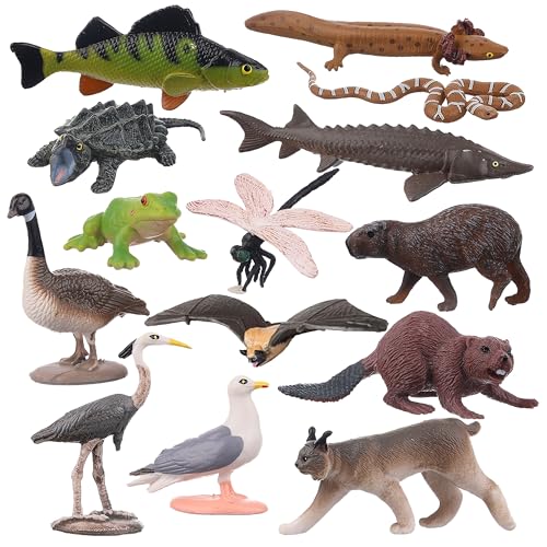 AENIMELY 14 Stück See-Tierfiguren – Realistische Wildtiere Kanadas – Nordamerikanische Tiermodelle für Kinder, STEM-Lernspielzeug, Wissenschaftsprojekt, Kuchen Deko, Geschenkidee AENIMELY 14 Stück See-Tierfiguren – Realistische Wildtiere Kanadas – Nordamerikanische Tiermodelle für Kinder, STEM-Lernspielzeug, Wissenschaftsprojekt, Kuchen Deko, Geschenkidee von AENIMELY