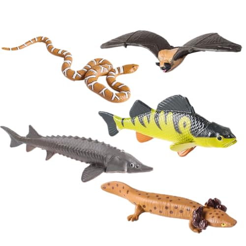 AENIMELY 5-teiliges Süßwasser-Tierfiguren – Realistische Seen-Wildtiermodelle mit Stör, Barsch, Wasserschlange, Fledermausfisch, Salamander – Pädagogisches STEM-Spielzeug für Kinder von AENIMELY