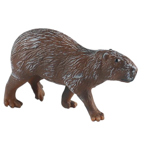 AENIMELY Baby-Capybara-Figur – Realistische Feste Wildtier-Tierfiguren für Kinder – Pädagogisches Lernspielzeug, Waldtier-Geschenk, Schreibtisch-Display-Dekoration von AENIMELY