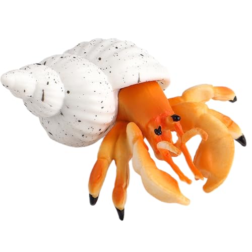 AENIMELY Baby-Einsiedlerkrebs – Realistische Feste Meeres-Tierfiguren für Kinder – Pädagogisches Meeres-Spielzeug, Krustentier-Aquarium-Dekoration, Display für Jungen & Mädchen von AENIMELY