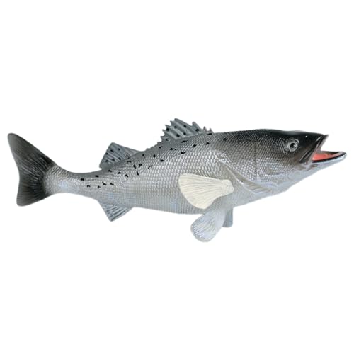 AENIMELY Barsch-Fischfiguren – Süßwasserfisch Modell, Lernspielzeug, Aquariendekoration, Kinder Lernspielzeug AENIMELY Barsch-Fischfiguren – Süßwasserfisch Modell, Lernspielzeug, Aquariendekoration, Kinder Lernspielzeug von AENIMELY