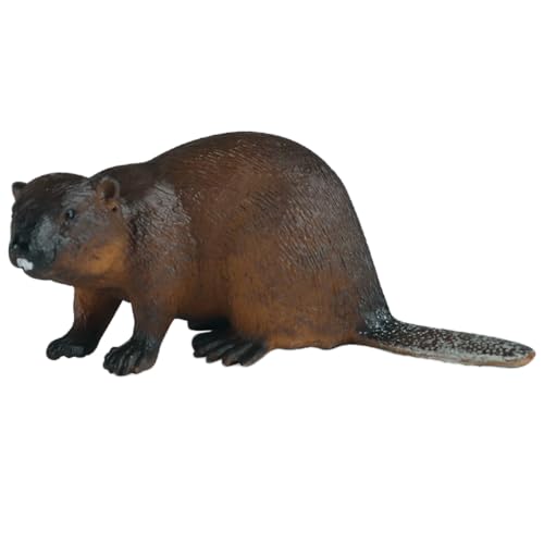 AENIMELY Biberfigur – Realistische Feste Tierfiguren für Kinder – Pädagogisches Lernspielzeug, Wildtier-Lern-Geschenk, Schreibtisch-Wald-Dekoration AENIMELY Biberfigur – Realistische Feste Tierfiguren für Kinder – Pädagogisches Lernspielzeug, Wildtier-Lern-Geschenk, Schreibtisch-Wald-Dekoration von AENIMELY