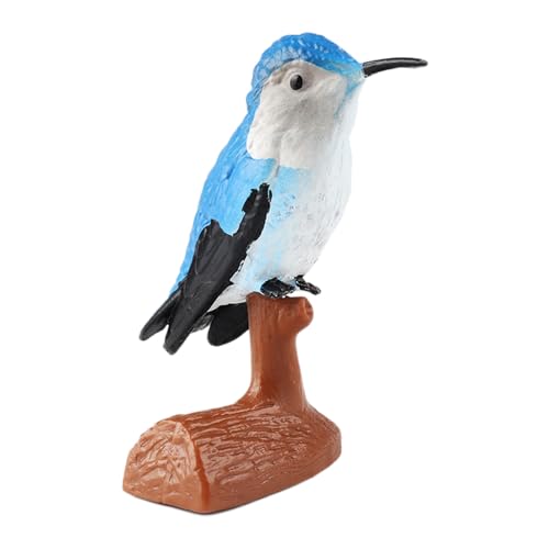 AENIMELY Blauer Kolibri-Vogel – Realistisches festes Vogelmodell für Kinder – Pädagogisches Tierspielzeug für STEM-Lernen – Wildtier Kuchentopper, Geburtstagsgeschenk, Partydekoration von AENIMELY