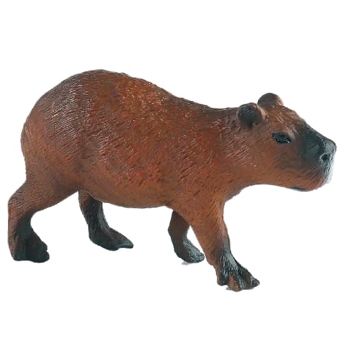 AENIMELY Capybara-Figur – Realistische Feste Wildtier-Tierfiguren für Kinder – Pädagogisches Regenwald-Spielzeug, Lern-Geschenk, Schreibtisch-Dekoration für Zuhause oder Klassenzimmer von AENIMELY