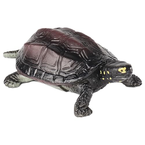 AENIMELY Chinesische Teichschildkrötenfigur – Realistisches festes Schildkrötenmodell für Kinder – Pädagogisches Reptilien-Spielzeug, Wildtier-Lern-Geschenk, Natur-Diorama-Dekoration von AENIMELY