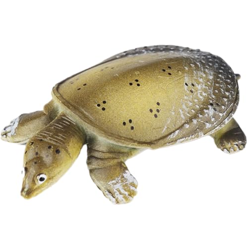 AENIMELY Chinesische Weichschildkrötenfigur – Realistisches festes Reptilienmodell für Kinder – Pädagogisches Wassertier-Spielzeug, Wildtier-Lern-Geschenk, Natur-Diorama-Dekoration von AENIMELY