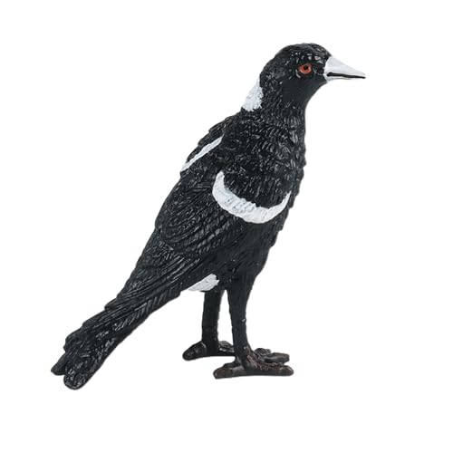 AENIMELY Elster Tierfiguren – Mini Vogelspielzeug, Lernspielzeug, Wildtiermodell, Landschaftsdekoration, Naturspielzeug für Kinder AENIMELY Elster Tierfiguren – Mini Vogelspielzeug, Lernspielzeug, Wildtiermodell, Landschaftsdekoration, Naturspielzeug für Kinder von AENIMELY