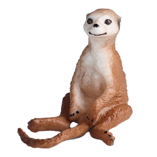 AENIMELY Erdmännchen-Figur – Realistische Feste afrikanische Wildtier-Tierfiguren für Kinder – Pädagogisches Spielzeug, Safari-Diorama-Dekoration, Lern-Geschenk für Kinder AENIMELY Erdmännchen-Figur – Realistische Feste afrikanische Wildtier-Tierfiguren für Kinder – Pädagogisches Spielzeug, Safari-Diorama-Dekoration, Lern-Geschenk für Kinder von AENIMELY