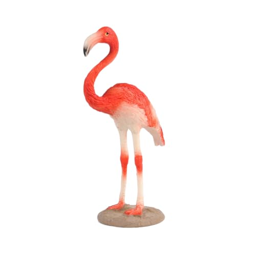 AENIMELY Flamingo-Figur – Realistische Feste Tierfiguren für Kinder – Pädagogisches Vogelspielzeug für Vorschulbildung – Wildtier-Kuchentopper, Geburtstagspartydekoration, STEM-Geschenk von AENIMELY