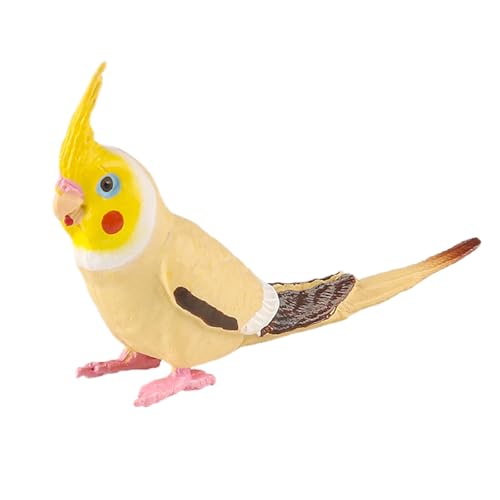 AENIMELY Gelber Nymphensittich-Vogel – Realistische Feste Tierfiguren für Kinder – Pädagogisches Wildtierspielzeug Kuchentopper für Vorschulbildung, Geburtstagspartydekoration, STEM-Geschenk von AENIMELY