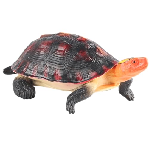 AENIMELY Gelbrand-Scharnierschildkrötenfigur – Realistisches festes Wildtier-Schildkröten-Spielzeug – Reptilien-Lernmodell, pädagogische Dekoration für Kinder & Sammler von AENIMELY