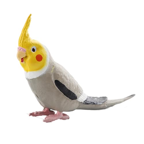 AENIMELY Grauer Nymphensittichfigur – Realistisches festes Papageien-Vogelmodell für Kinder – Pädagogisches Wildtier-Spielzeug, Zuhause-Display-Dekoration, Natur-Geschenk von AENIMELY