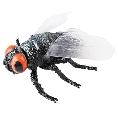 AENIMELY Große Fliegenfigur – Hohles realistisches Insektenmodell für Kinder – Pädagogisches Insekten-Spielzeug für Wissenschaftsklasse & Display von AENIMELY