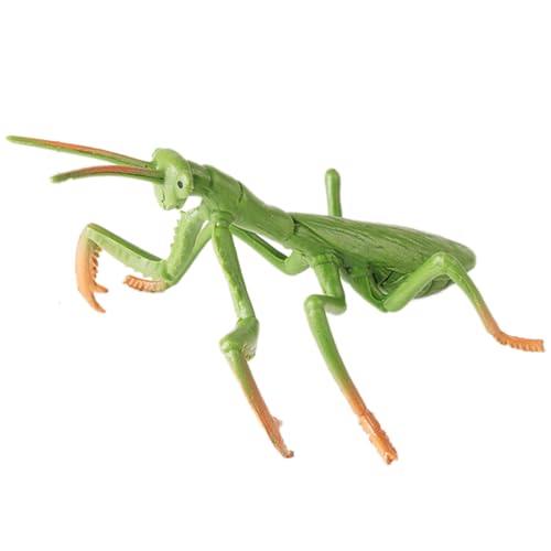 AENIMELY Große Gottesanbeterin-Figur – Hohles realistisches Insektenmodell für Kinder – Pädagogisches Insekten-Spielzeug für Wissenschaft & Naturkunde von AENIMELY
