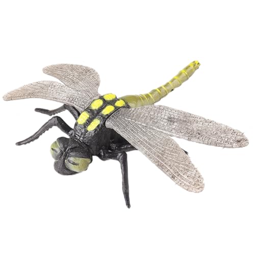 AENIMELY Große Libellenfigur – Hohles realistisches Insektenmodell für Kinder – Pädagogisches Insekten-Spielzeug für Naturforschung, Wissenschaftsprojekte & Schuldisplay von AENIMELY