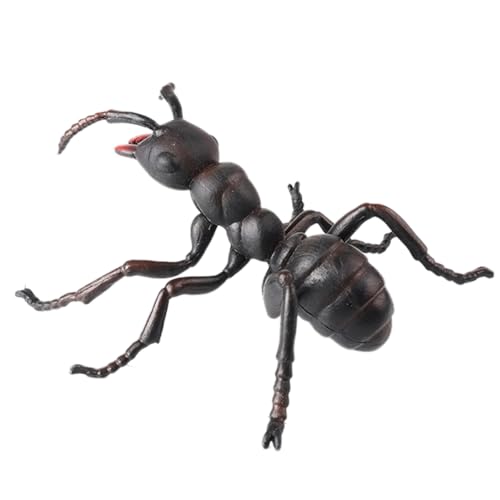 AENIMELY Große Schwarze Ameisenfigur – Hohles realistisches Insektenmodell für Kinder – Pädagogisches Insekten-Spielzeug für Naturforschung & Wissenschaftsprojekte von AENIMELY