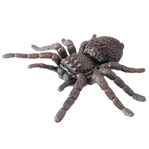 AENIMELY Große Spinnenfigur – Hohles realistisches Insektenmodell für Kinder – Pädagogisches Spielzeug für Halloween, Naturstudien & Wissenschaftsklasse von AENIMELY
