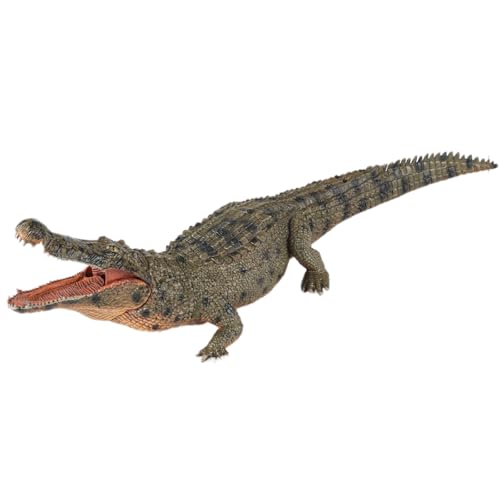 AENIMELY Große realistische grüne Krokodilfigur – Großes Gator-Action-Modell mit bewegbarem Kiefer – Pädagogische Wildtierfiguren für Jungen – STEM-Spiel, Geburtstagsgeschenk für Kinder von AENIMELY