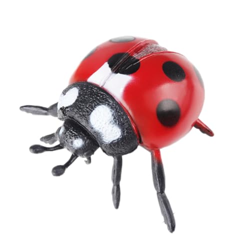 AENIMELY Großer Marienkäfer – Hohles realistisches Insektenmodell für Kinder – Pädagogisches Insekten-Spielzeug für Naturkunde & Klassenraumdisplay von AENIMELY