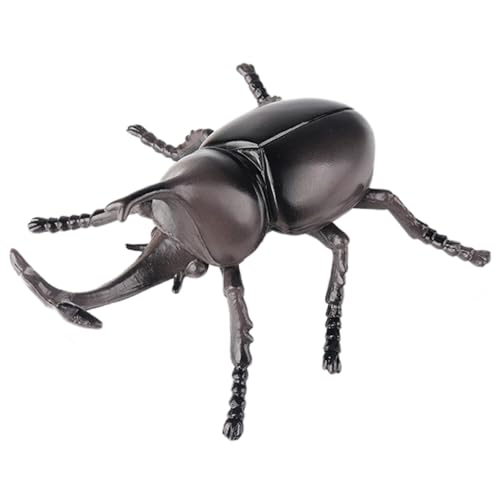 AENIMELY Großer Nashornkäfer – Hohles realistisches Insektenmodell für Kinder – Pädagogisches Insekten-Spielzeug für Wissenschaftsprojekte & Naturforschung von AENIMELY