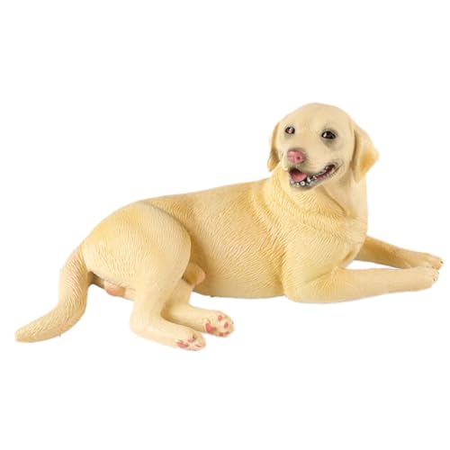 AENIMELY Großer gelber Labrador – Realistische Feste Plastik-Welpenfigur für Kinder, pädagogisches Haustier-Spiel, Kuchentopper & Wohnkultur AENIMELY Großer gelber Labrador – Realistische Feste Plastik-Welpenfigur für Kinder, pädagogisches Haustier-Spiel, Kuchentopper & Wohnkultur von AENIMELY