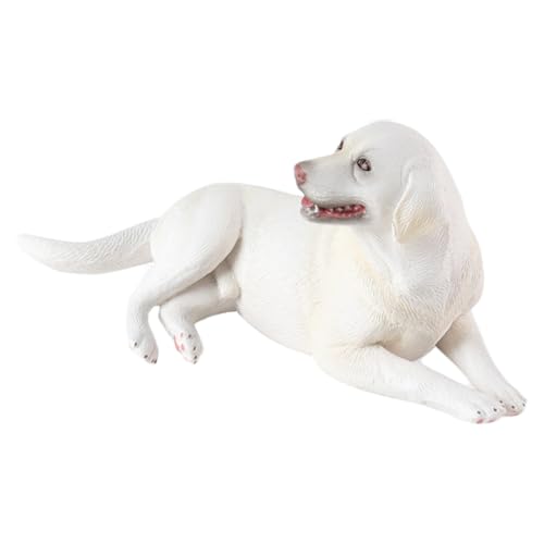 AENIMELY Großer weißer Labrador – Realistische Feste Plastik-Welpenfigur für Kinder, pädagogisches Haustier-Spiel, Kuchentopper & dekoratives Sammlerstück AENIMELY Großer weißer Labrador – Realistische Feste Plastik-Welpenfigur für Kinder, pädagogisches Haustier-Spiel, Kuchentopper & dekoratives Sammlerstück von AENIMELY
