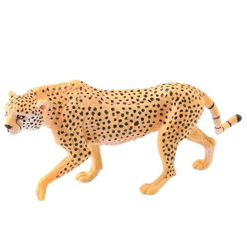 AENIMELY Großes hohles schreitender Gepard – Realistisches Safari-Großkatzenmodell für Kinder, pädagogische Wildtier-Figuren, Kuchentopper & Dschungel-Diorama-Dekoration AENIMELY Großes hohles schreitender Gepard – Realistisches Safari-Großkatzenmodell für Kinder, pädagogische Wildtier-Figuren, Kuchentopper & Dschungel-Diorama-Dekoration von AENIMELY