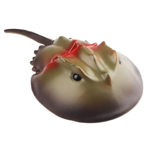 AENIMELY Gummi-Hufeisenkrebs Figur – Großes Weiches Meerestier Modell, Lernspielzeug, Aquariendekoration, Lernspielzeug für Kinder AENIMELY Gummi-Hufeisenkrebs Figur – Großes Weiches Meerestier Modell, Lernspielzeug, Aquariendekoration, Lernspielzeug für Kinder von AENIMELY
