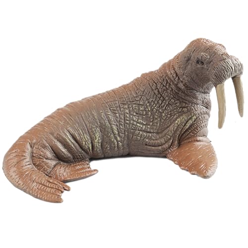 AENIMELY Hohles Walross – Realistische arktische Meeres-Tierfiguren für Kinder, pädagogisches Meereslebewesen-Modell, Kuchentopper & STEM-Geschenk von AENIMELY