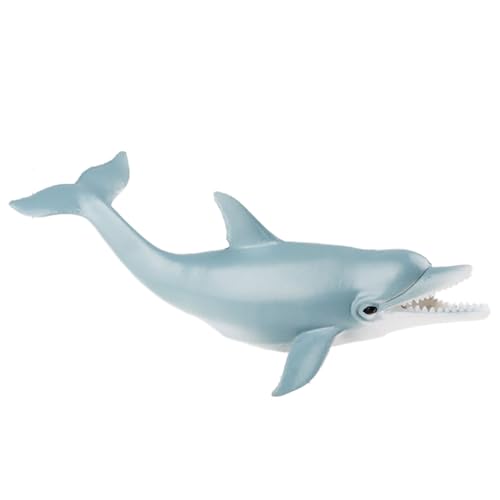 AENIMELY Hohler Delfin Figur - Realistische Meerestierfiguren für Kinder, pädagogisches Ozeanlebensmodell, Tortenaufsatz & Meeresthema Display von AENIMELY