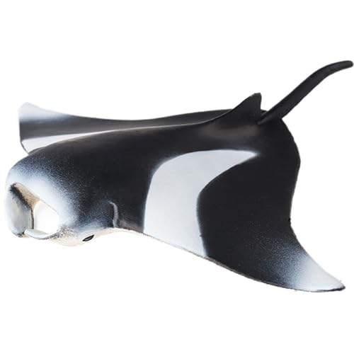 AENIMELY Hohler Mantarochen – Realistische Meeres-Tierfiguren für Kinder, pädagogisches Meereslebewesen-Modell, Kuchentopper & Ozean-Dekoration von AENIMELY