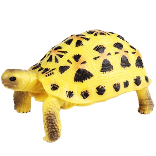 AENIMELY Indische Sternschildkrötenfigur (Gelber Panzer) – Realistisches festes Landschildkrötenmodell für Kinder – Pädagogisches Reptilien-Spielzeug, Wildtier-Lern-Geschenk, Natur-Diorama-Dekoration von AENIMELY