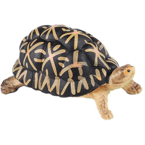 AENIMELY Indische Sternschildkrötenfigur – Realistisches festes Schildkrötenmodell für Kinder – Pädagogisches Wildtier-Spielzeug, STEM-Lern-Geschenk, Natur-Diorama-Dekoration von AENIMELY