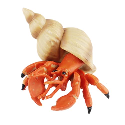 AENIMELY Kleiner Einsiedlerkrebs – Feste realistische Meeres-Tierfiguren für Kinder – Pädagogisches Krustentier-Spielzeug, Aquarium-Dekoration, Display für Jungen & Mädchen von AENIMELY