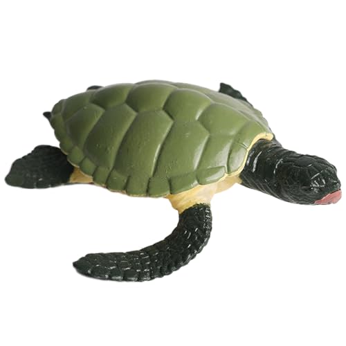 AENIMELY Meeresschildkrötenfigur – Realistisches festes Meeres-Schildkrötenmodell für Kinder – Pädagogisches Meeres-Tier-Spielzeug, STEM-Lern-Geschenk, Aquarium-Diorama-Dekoration von AENIMELY