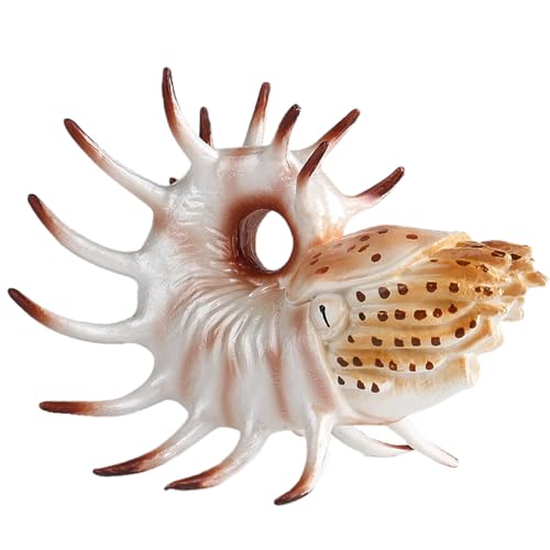 AENIMELY Nautilus-Figur – Realistisches antikes Meereslebewesen-Modell für Kinder – Pädagogisches Ozean-Tier-Spielzeug, prähistorische Meeres-Aquarium-Dekoration, Wissenschafts-Geschenk AENIMELY Nautilus-Figur – Realistisches antikes Meereslebewesen-Modell für Kinder – Pädagogisches Ozean-Tier-Spielzeug, prähistorische Meeres-Aquarium-Dekoration, Wissenschafts-Geschenk von AENIMELY