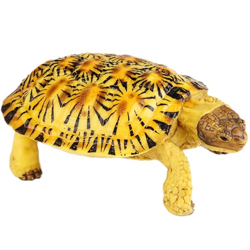 AENIMELY Pfannkuchen-Schildkrötenfigur (Gefleckter Panzer) – Realistisches festes Schildkrötenmodell für Kinder – Pädagogisches Reptilien-Spielzeug, Natur-Lern-Geschenk, Wildtier-Dekoration von AENIMELY