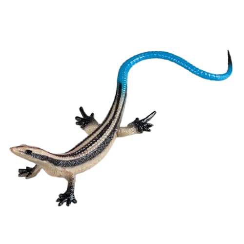 AENIMELY Realistische Blaugeschwänzte Gras-Eidechse Figuren – Lernspielzeug, Reptilienmodell, Kognitive Entwicklung, Dekoration für Kinder von AENIMELY